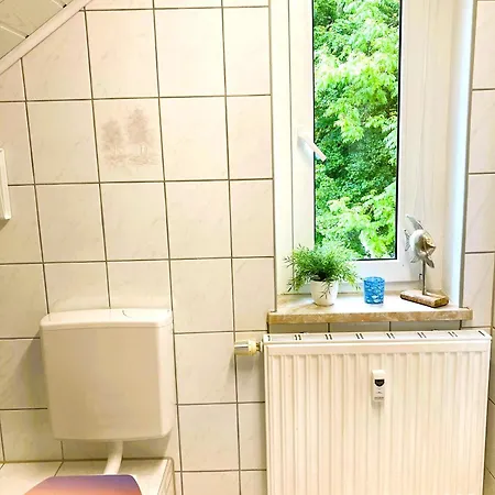 Apartment Schickolores Eibenstock